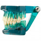 Демонстрационная модель Revyline ТМ-105 "Зубы", цветная