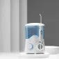 Стационарный ирригатор Revyline RL 100