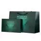 Подарочный набор Revyline Green Dragon №1